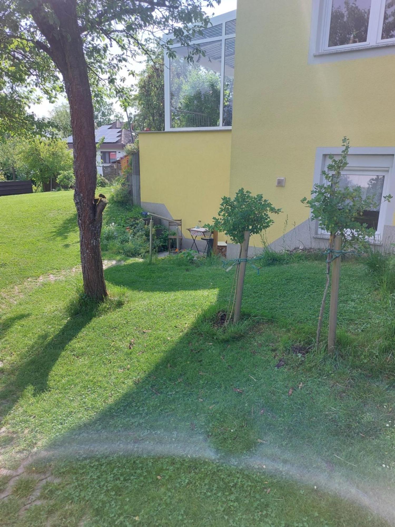 Gelbes Haus Heldritt Apartment Bad Rodach Exterior photo